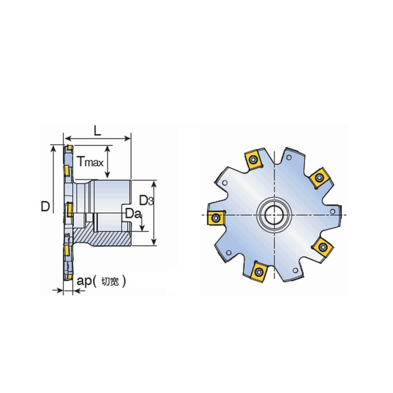  Trilineum ore milling circumdatos: Fixum LABIUM type